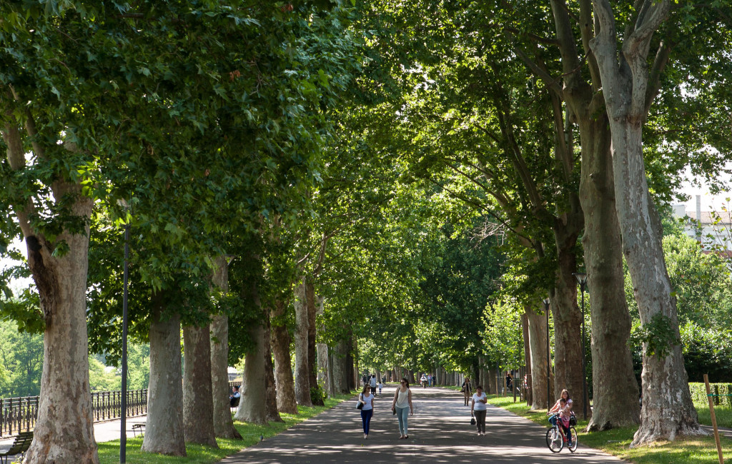 Viale Pubblico Passeggio